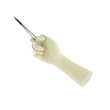 Encore® Perry® Style 42® PF Latex Surgical Glove, Size 6 ENCORE® Perry® Style 42® PF Ansell