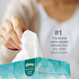 Kleenex® Professional Facial Tissue Kleenex® Junior Kimberly Clark