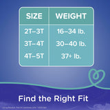 Pampers® Easy Ups™ Boys Training Underwear Jumbo Pack, Size 4T – 5T Pampers® Easy Ups™ Procter & Gamble