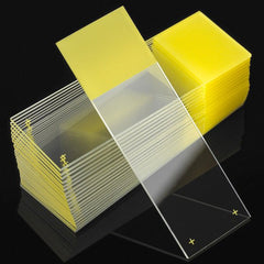 Microscope Slides