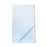 Graham Medical Blue Flat Stretcher Sheet, 40 x 96 Inch Graham Medical® Graham Medical Products