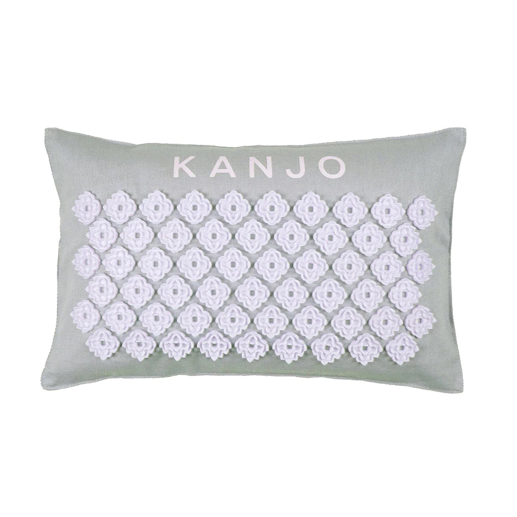 Aroma_Acupressure_Pillow