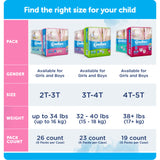 Comfees Training Pants, 12-Hour Protection, Male Toddler, 3T-4T, 32 to 40 Lbs