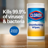 Clorox® Surface Disinfectant Wipes, Small Canister