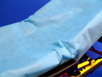 Stretcher_Sheet