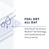 Prevail® Daily Pant Liners Light to Moderate Bladder Control Pad, 12½-Inch Length