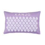 Acupressure_Pillow