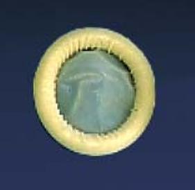 Ultrasound_Probe_Cover